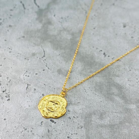 Pisces Star Sign Necklace - Fine chain necklace featuring a delicate star sign pendant. Birth date February 19 - March 20 is for Pisces. Available in Silver, Gold, and Rose Gold.