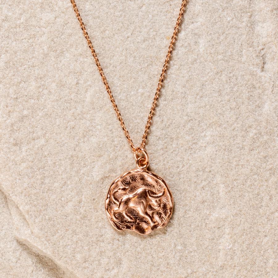 Taurus Star Sign Necklace - Fine chain necklace featuring a delicate star sign pendant. Birth date April 20 - May 20 is for Taurus. Available in Silver, Gold, and Rose Gold.