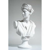 White Venus Bust Sculpture - Our White Venus Bust Sculpture is a timeless piece that’s an icon of Roman mythology.